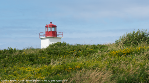 Lighthouse - Cape Saint Mary.png